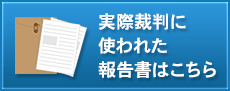 実際裁判に使われた報告書はこちらから